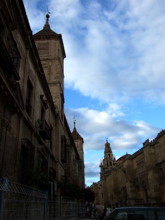 España(エスパーニャ)SPAIN コルドバcordobaコルドバメスキータトリホス通りC.Torijos