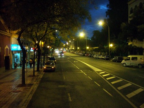 España(エスパーニャ)SPAIN コルドバcordoba世界遺産コルドバからフラメンコの本場セビリヤへSEVILLAセビリアレストランセビージャセビーリャタブラオフラメンコショーディナーEL PALACIO ANDALUZ La Bodegaフラメンコスタジオ