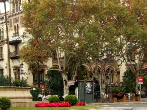 España¡Ê¥¨¥¹¥Ñ¡¼¥Ë¥ã¡ËSPAIN¥Õ¥é¥á¥ó¥³¤ÎËܾ쥻¥Ó¥ê¥ä¤ØSEVILLA¥»¥Ó¥ê¥¢¥»¥Ó¡¼¥¸¥ã¥»¥Ó¡¼¥ê¥ã¤Î³¹³Ñ¼Ì¿¿ºÇ¹âµé¥Û¥Æ¥ë¥¢¥ë¥Õ¥©¥ó¥½XIII¸Þ¤ÄÀ±¥Û¥Æ¥ë¥¢¥ë¥Õ¥©¥ó¥½13À¤¡¦¥¦¥§¥¹¥Æ¥£¥ó¥Û¥Æ¥ë