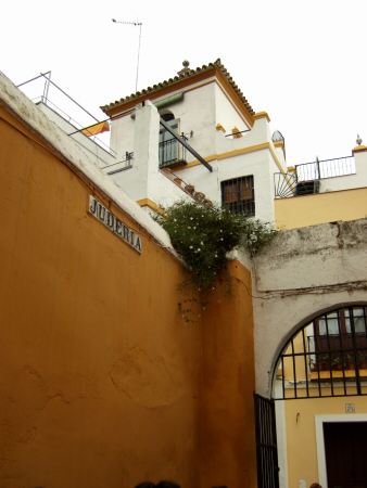 España(エスパーニャ)SPAINフラメンコの本場セビリヤへSEVILLAセビリアセビージャセビーリャサンタ・クルス街Barrio de Santa Cruz旧市街ユダヤ人街JUDERIAパティオ?