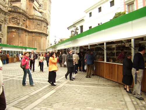 España(エスパーニャ)SPAINフラメンコの本場セビリヤへSEVILLAセビリアセビージャセビーリャ世界遺産世界文化遺産世界三大カテドラルの一つセビリア・カテドラルセビリア大聖堂ヒラルダの塔Pl.del Triunfoトリウンフォ広場