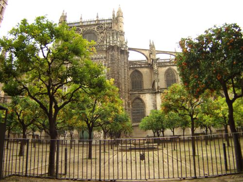 España(エスパーニャ)SPAINフラメンコの本場セビリヤへSEVILLAセビリアセビージャセビーリャ世界遺産世界文化遺産世界3大大聖堂の一つセビリア・カテドラルセビリア大聖堂Alemanesオレンジの中庭Patio de Naranjasオレンジのパティオ