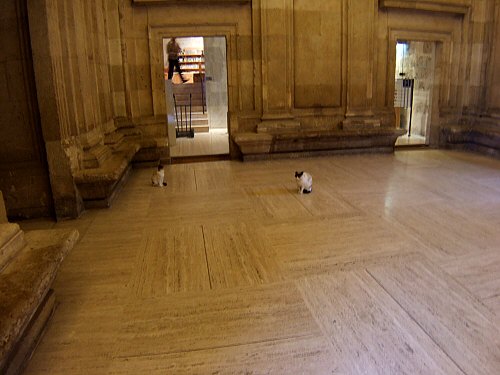 エスパーニャSPAINアンダルシア地方グラナダGRANADA世界遺産世界文化遺産アルハンブラ宮殿Palacio de la Alhambraカルロス5世宮殿野良猫