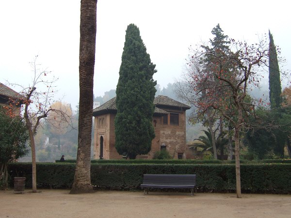 エスパーニャSPAINアンダルシア地方グラナダGRANADA世界遺産世界文化遺産アルハンブラ宮殿Palacio de la Alhambra王宮日本の柿の木