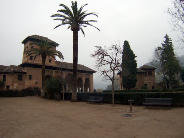 エスパーニャSPAINアンダルシア地方グラナダGRANADA世界遺産世界文化遺産アルハンブラ宮殿Palacio de la Alhambra王宮日本から贈られた柿の木