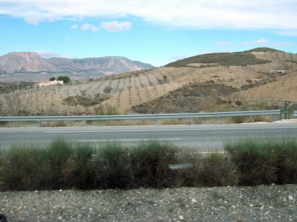 エスパーニャSPAINアンダルシア地方高速道路A92号線沿いに見えた風景景色葡萄畑ぶどう畑