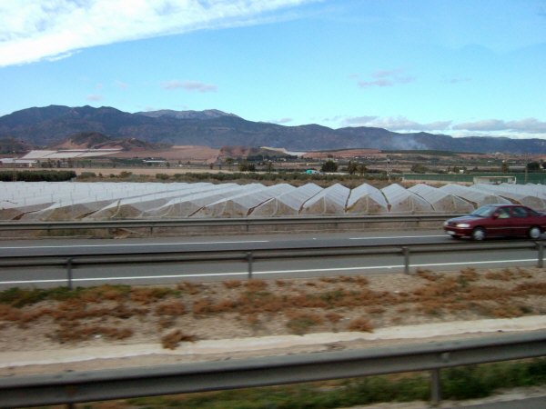 エスパーニャSPAINアンダルシア地方グラナダからバレンシア地方バレンシア高速道路A92号線沿いに見えた風景景色サービスエリアSAで見かけた風景景色野菜畑ビニールハウス