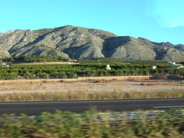 エスパーニャSPAINバレンシア地方バレンシア州都ホテルホリデイインバレンシア高速道路E15沿いに広がるオレンジ畑オレンジの木