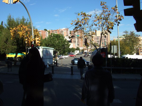エスパーニャSPAINカタルーニャ地方・バルセロナ市街地の風景世界遺産世界文化遺産Parc Guell グエル公園