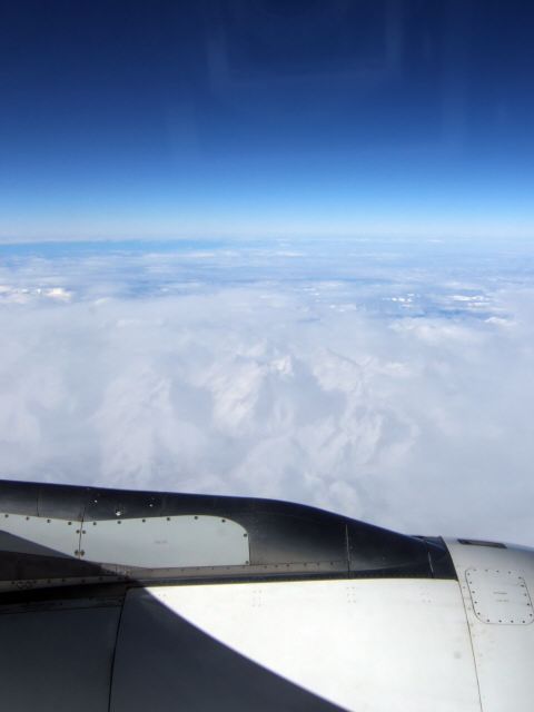 SPANAIR EC-IMB エアバスAIRBUS A320-200フランスアルプスの山々