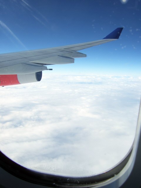SASスカンジナビアエアラインSK983便エアバスA340 LN-RKG新潟上空を飛行中