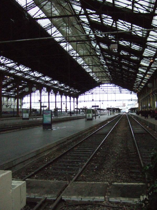 スイスジュネーブからパリへ新幹線フランス国鉄 (SNCF)の高速鉄道TGVparisパリスガレドリヨンガレドゥリヨン