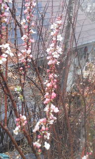 20160402095521.jpg