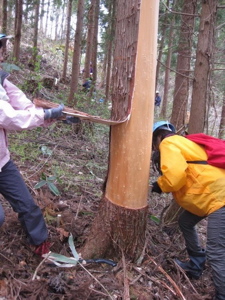 kurikoma-24.jpg