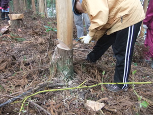 kurikoma-10.jpg