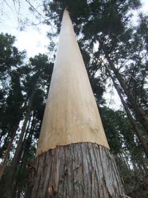 kurikoma-8.jpg