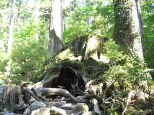 090521 kaimon-yakushima 7.jpg