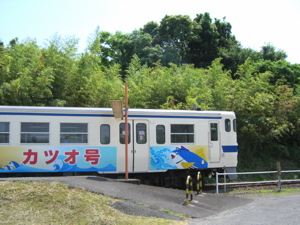 090521 kaimon-yakushima 1.jpg