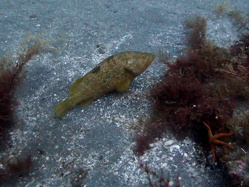 P7150182.jpg