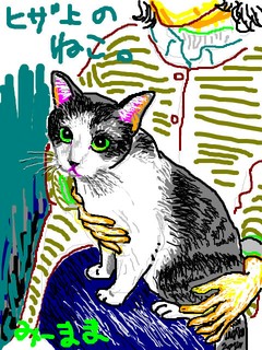 ひざ上のねこ。