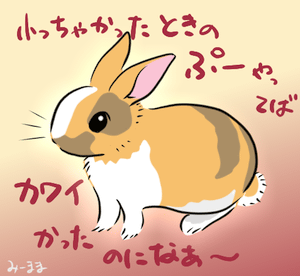 完成品