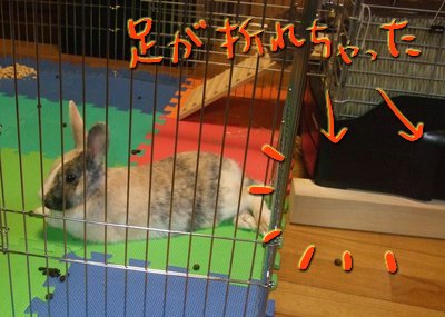 に