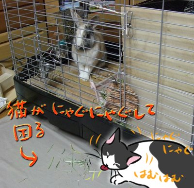 ご