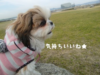きもちー