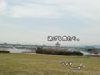 おいかけっこ