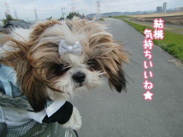 初チャリ