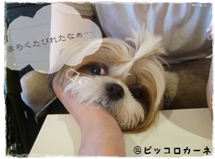 まちぼうけ…