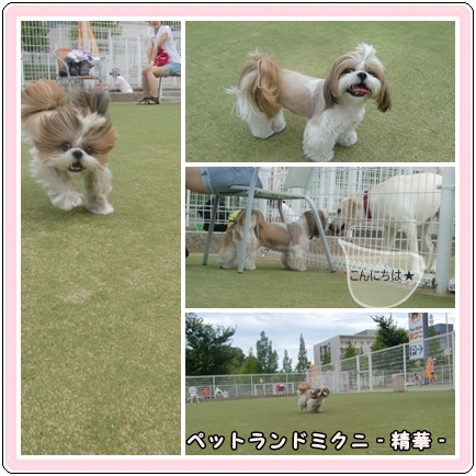 ランにて