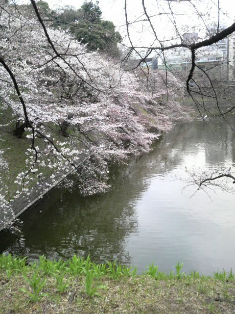 2011040314560000.jpg