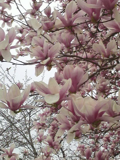 2011040315210000.jpg