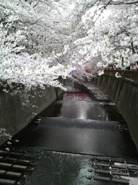 2011041017450000.jpg