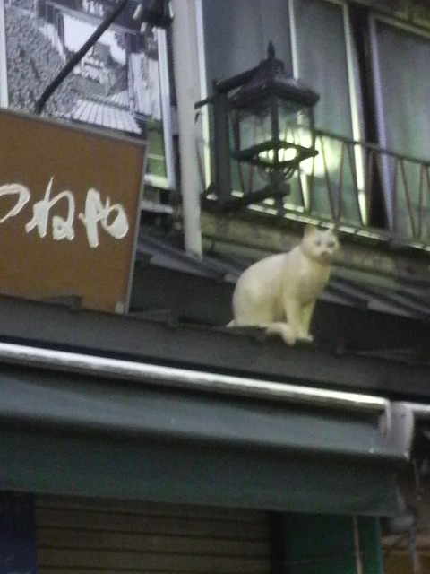 2011062618550000.jpg