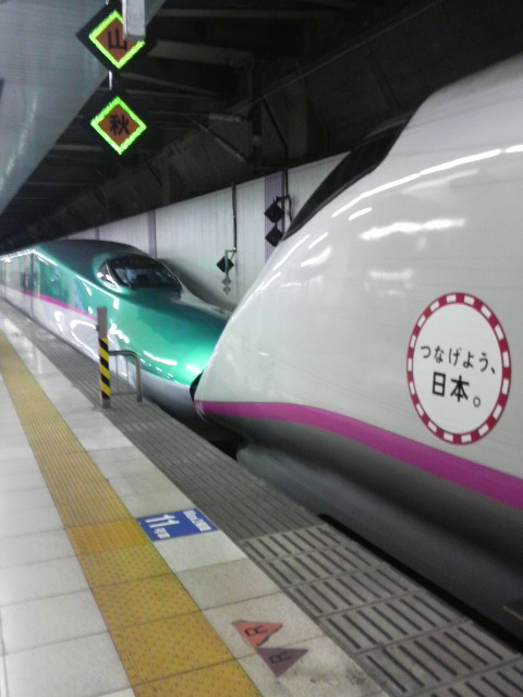 2011111910130000.jpg