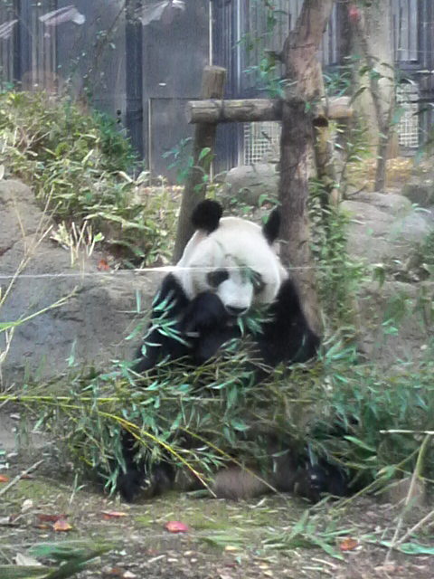 2011112713580000.jpg
