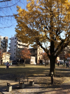 iPhoneImage.png