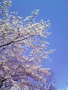 撮影は鯨岡