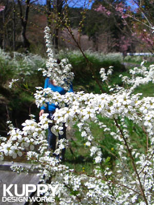 高野山森林公園