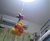20060726_222454.jpg