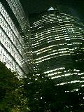 20060728_223028.jpg