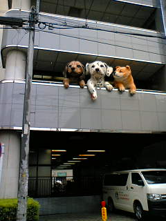 20060729_224031.jpg