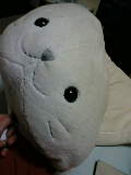 20060801_225366.jpg