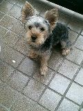 20060801_225568.jpg