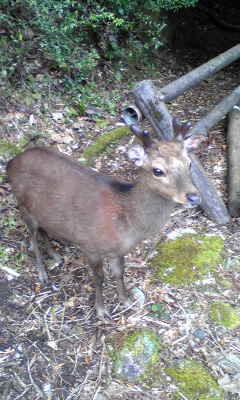 Image057.jpg