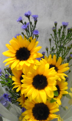 Image160.jpg