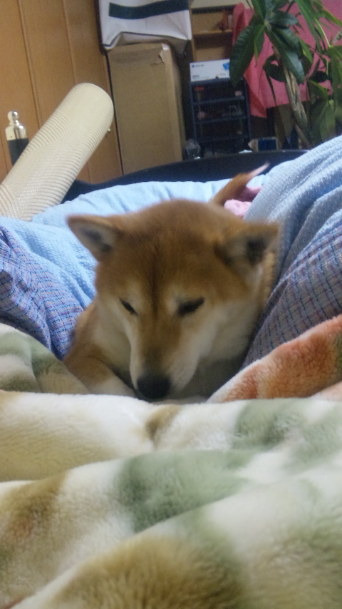 100116_024448.jpg