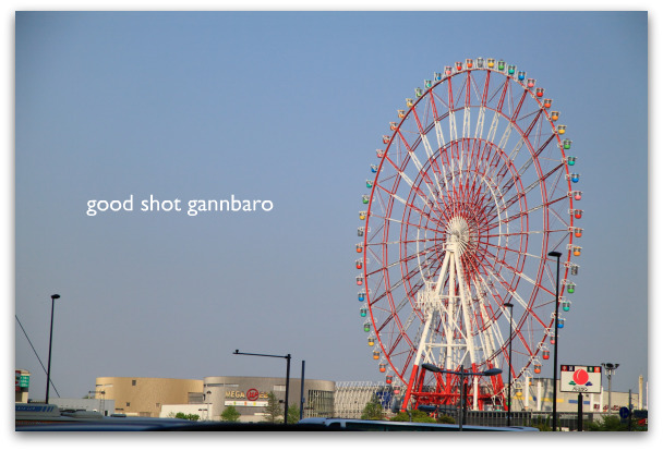 IMG_5563a_picnik.jpg